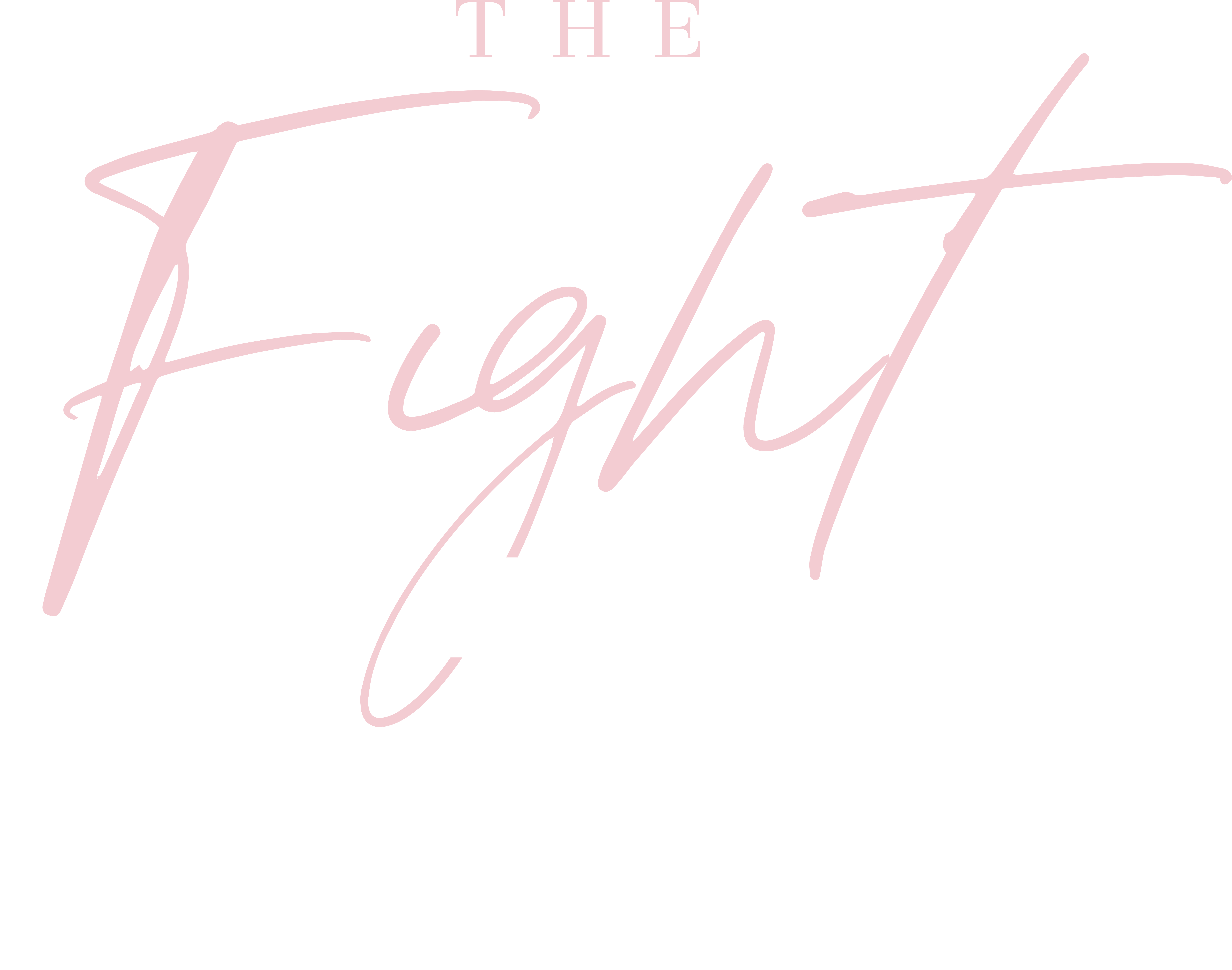 Fight for Female by Lisa Bevere